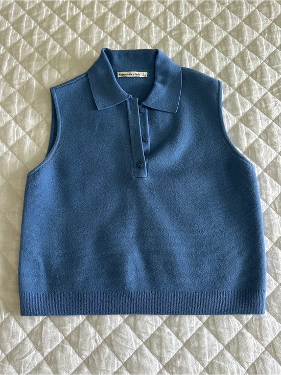 Abercrombie & Fitch Tops - Abercrombie & Fitch Men’s Steel Blue Sleeveless V‑Neck Polo Sweater
